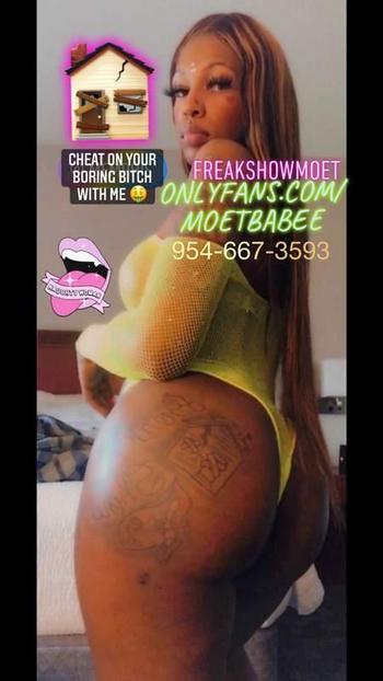 954-667-3593 FREAKSHOWMOET