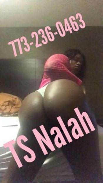 ?Nalah? Fat booty?, Pretty Face?, Thick thighs?