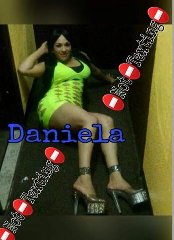 ???TS-DANIELA??9548003086 ???8'In-TOP-BOTTOM