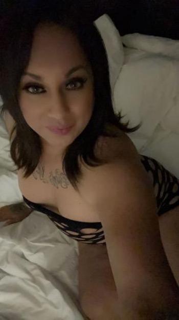 sexy TS visiting san jose one day only !!!