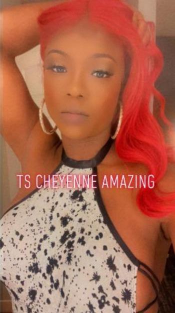 THE EXOTIC SEXY "CHEYENNE AMAZING" 100% REAL PICS (AMAZING BODY)38DD's Breast (AMAZING FACE) THE HOTTEST IN THE CITY!!