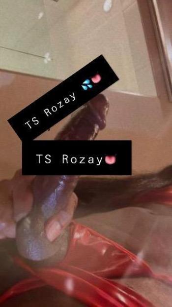 TS ROZAY OUTCALLS & INCALLS AVAILABLE?