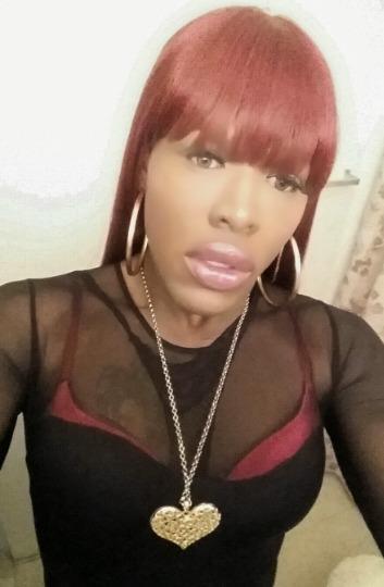 313 915 3473 🔥 Transgender Escort 🔥 Detroit Shemale Escort